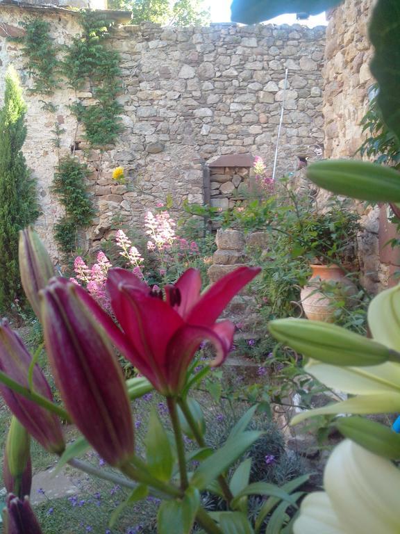 Bed and Breakfast Le Clos De La Source Le Bousquet-d'Orb Екстер'єр фото